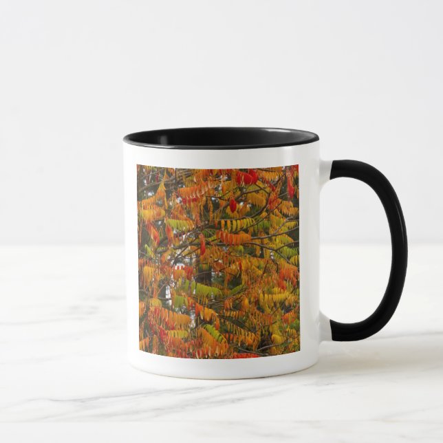 Caneca Árvore de sumagre em cor de outono em Whitefish, (Direita)