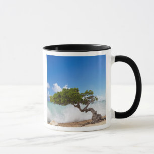 Caneca Árvore Divi Divi, Praia Eagle, Aruba, Caribe