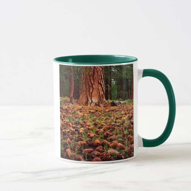 Caneca Árvore Ponderosa madura com pinhas (Direita)