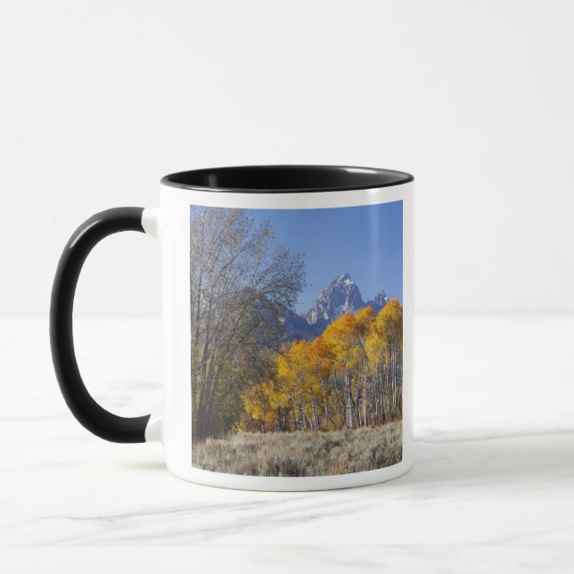 Caneca Árvores de Aspen com a cordilheira Teton (Esquerda)