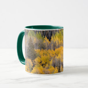 Caneca Árvores de Aspen   Floresta Nacional de White Rive