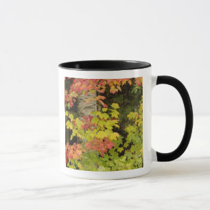 Caneca Árvores de bordo outonal e bétula, Branca