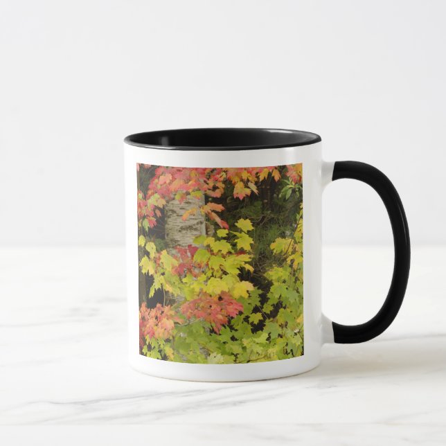 Caneca Árvores de bordo outonal e bétula, Branca (Direita)