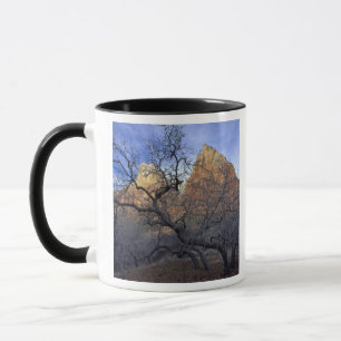 Caneca Árvores de carvalho no inverno, Tribunal dos Patr