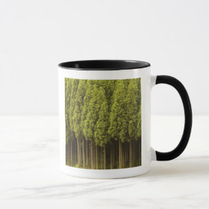 Caneca Árvores de cedro de Koya Sugi