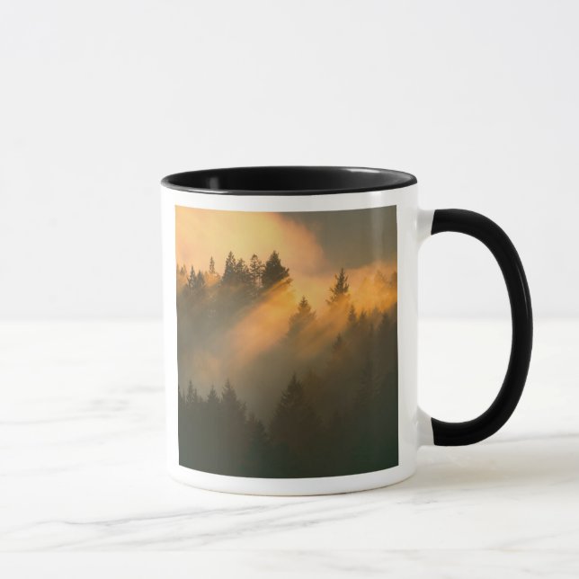 Caneca Árvores de sequóia no nevoeiro costeiro, Condado d (Direita)