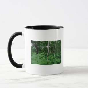 Caneca Árvores de vidoeiro de prata e samambaias,