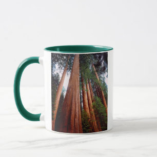 Caneca Árvores sequóias gigantes de crescimento antigo