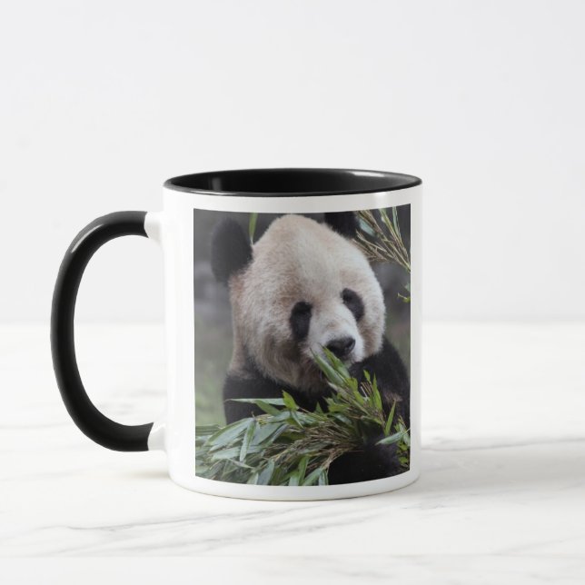 Caneca Ásia, China Chongqing. Panda Gigante (Esquerda)