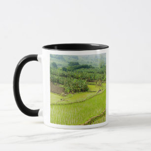Caneca Ásia, China, Província de Yunnan, Honghe. Banana