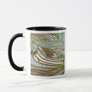 Caneca Ásia, China, Yunnan, Jinping. Povos Yi nativos