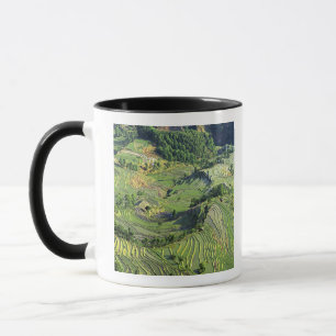 Caneca Ásia, China, Yunnan, Yuanyang. Padrão de verde