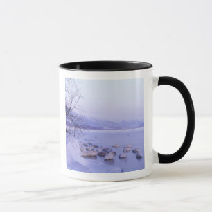 Caneca Ásia, Japão, Hokkaido, Parque Nacional Akan, Cisne
