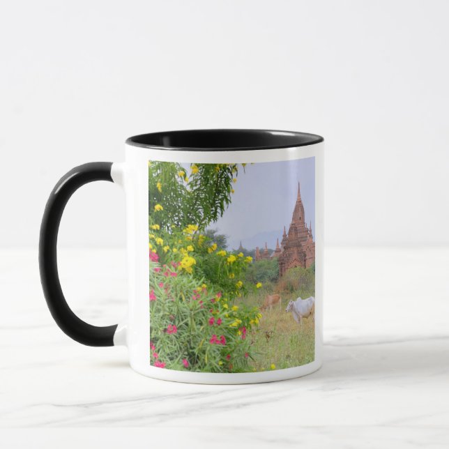 Caneca Ásia, Mianmar (Birmânia), Bagan (Pagan). Vacas (Esquerda)