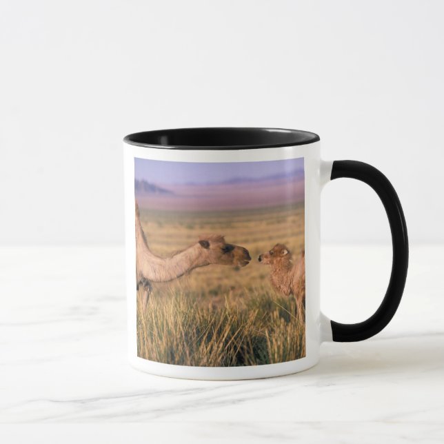 Caneca Ásia, Mongólia, Deserto de Gobi, Grande Gobi (Direita)