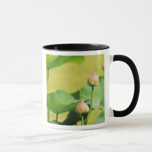 Caneca Ásia, Tailândia, Banguecoque. Grande Palácio, lótu