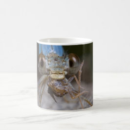 Caneca assustador do Damselfly