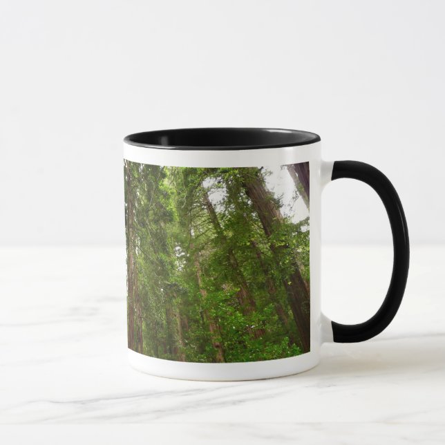 Caneca Até Sequoias Eu no Monumento Nacional de Muir Wood (Direita)