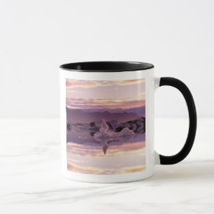 Caneca Atlântico Norte, Islândia, Breioamerkurjokull