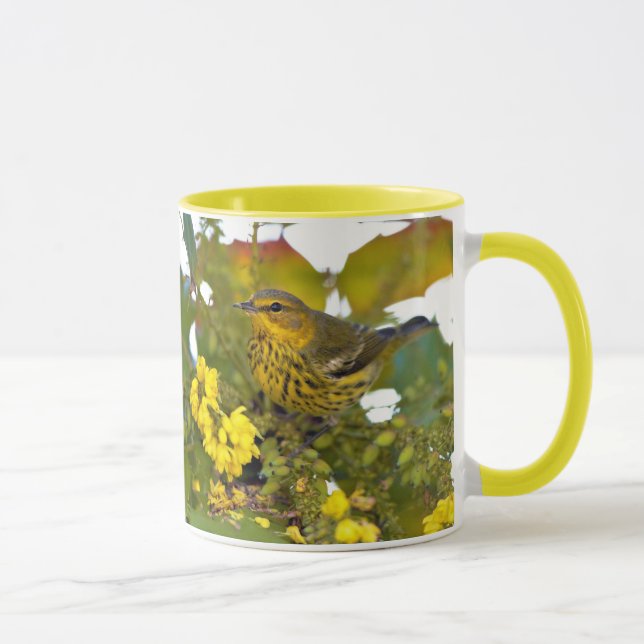 Caneca Atordoamento do Cabo May Warbler Songbird na Mahon (Direita)