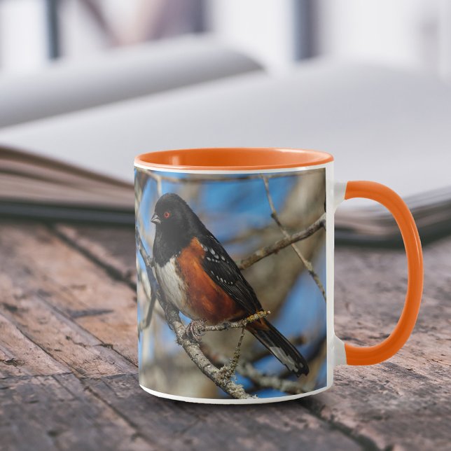 Caneca Atordoamento Songbird Sponch na Ramificação (Spotted Towhee on Branch 11 oz Coffee Mug Cover Photo.)