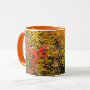 Caneca Autumn at Sims Pond North Carolina, Blue Ridge