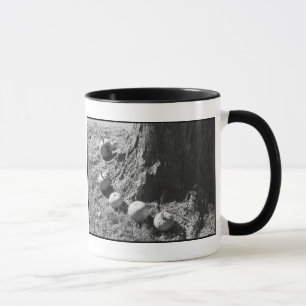 Caneca Autumn Pumpkins Mug