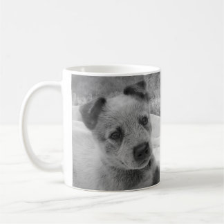 CANECA AZUL DE HEELER