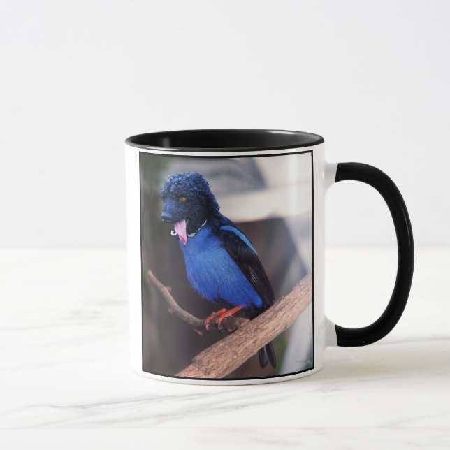 Caneca azul do boodle (Direita)
