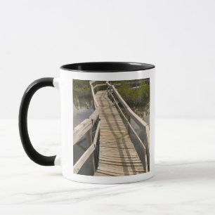 Caneca BAHAMAS, Ilha de Grand Bahama, Lado Leste: