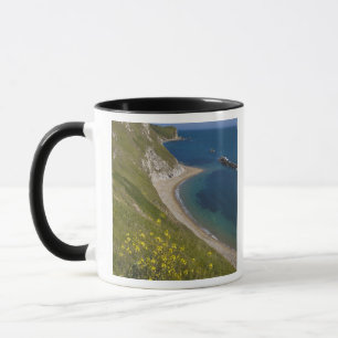 Caneca Baía de Man o War, Costa Jurássica, Lulworth, Dors