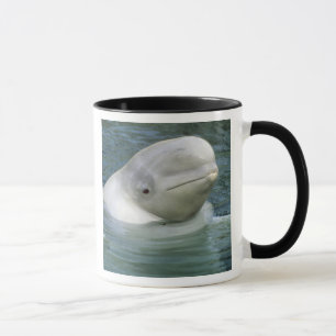 Caneca Baleia Beluga, Delphinapterus leucas)