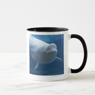 Caneca Baleia da beluga (leucas do Delphinapterus)