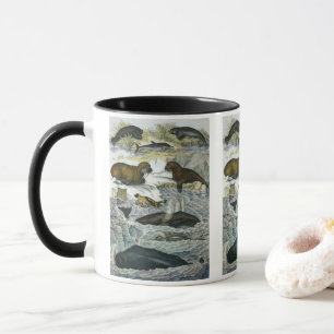 Caneca Baleias, Focas e Cavalos-Marinhos, Animais Marinho