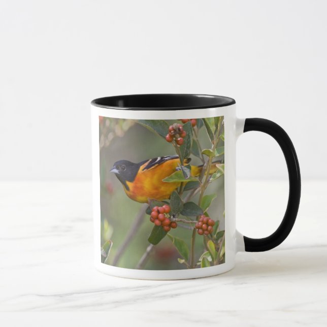 Caneca Baltimore Oriole (Direita)