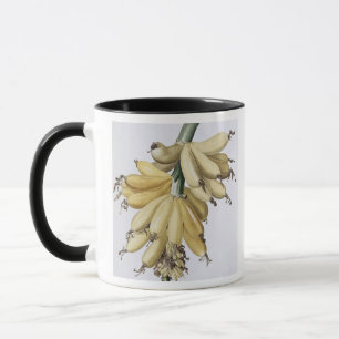 Caneca Banana, 1816