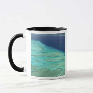 Caneca Barreira de Malolo ao largo da Ilha Malolo, Fiji