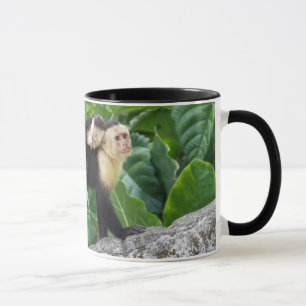 Caneca Bebê adulto do carregando do macaco do Capuchin e