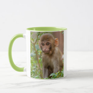 Caneca Bebê Macaco Rhesus, Templo do Macaco, Jaipur