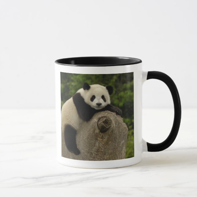 Caneca Bebê panda gigante (Direita)