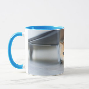 Caneca Bebês Mais Pobres Fluffy Orange Kitten
