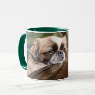 Caneca Bebês Mais Pobres   Pekingese Puppy no carro