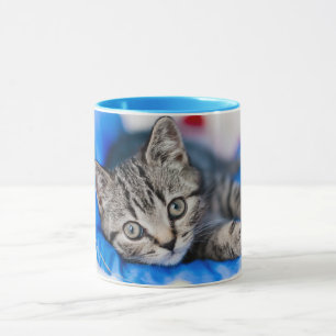 Caneca Bebês Mais Pobres Tabby Kitten no Túnel Play