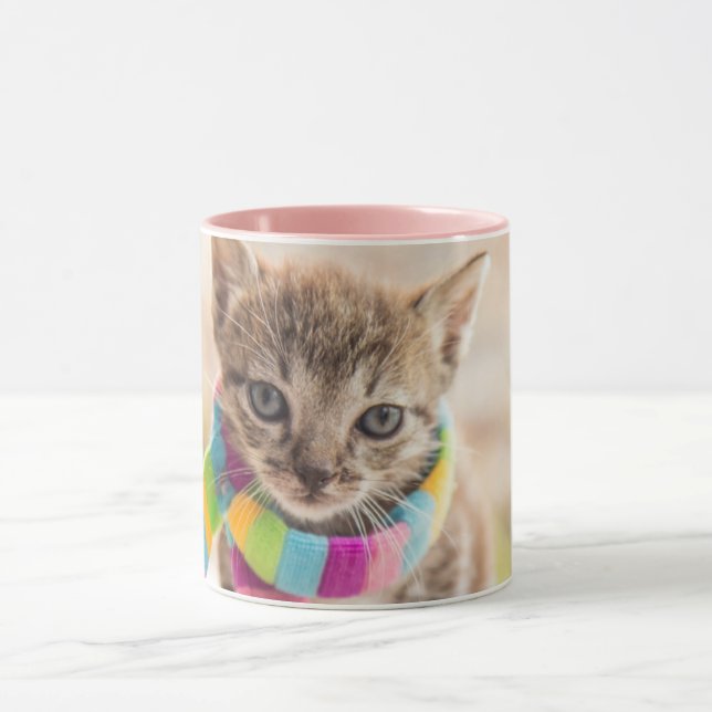 Caneca Bebês Mais Pobres | Tabby Kitten Rainbow Scarf (Centro)