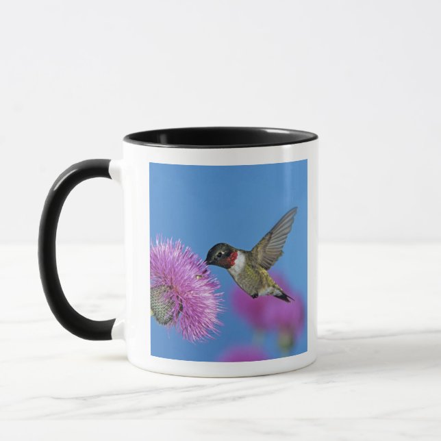 Caneca Beija-flor-de-garganta-rubí (Esquerda)
