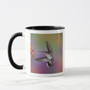 Caneca Beija-flor-fêmea-de-pescoço-rubi-em-vôo