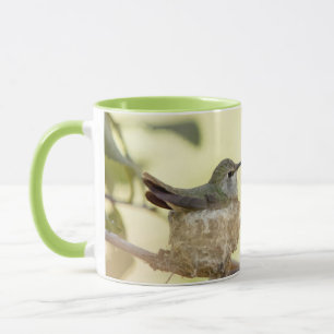 Caneca Beija-flor fêmea no ninho