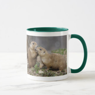 Caneca Beije-me Rápido
