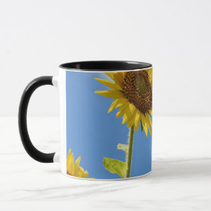 Caneca belas flores solares com céu azul nublado