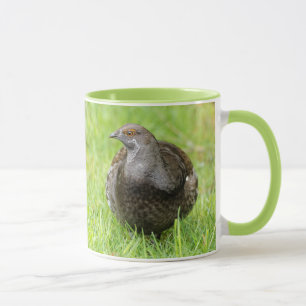 Caneca Belo Agrupamento de Sooty Gamebird na Grama